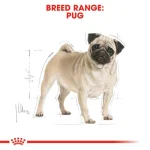 Royal Canin Pug Adult 1.5 kg - Image 4