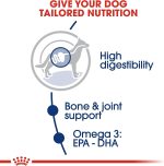 Royal Canin Maxi Adult 15kg - Image 4