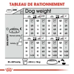 Royal Canin Mini Exigent 3kg - Image 4