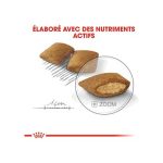 Royal Canin Mini Exigent 3kg - Image 2