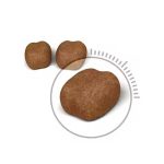 Royal Canin Dental Care 1.5kg - Image 2