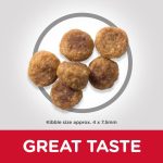 Hills Small&Mini Adult Dog With Chicken 10kg - Image 3