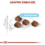 Royal Canin mother&BAby Professional 10kg - Image 2