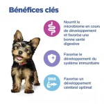 Hills Multi-Benefit puppy Dry Dog 2kg - Image 3