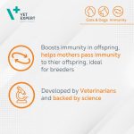 قرص تقویت کننده سیستم ایمنی سگ و گربه مدل وتامیون برند وت اکسپرت - Image 5