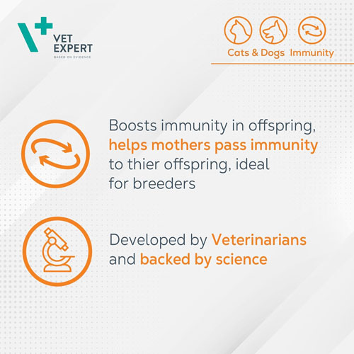 532763 قرص تقویت کننده سیستم ایمنی سگ و گربه مدل وتامیون برند وت اکسپرت - Image 5