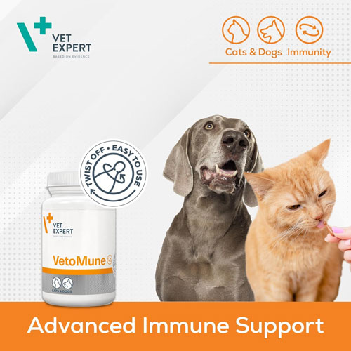 فغقغب قرص تقویت کننده سیستم ایمنی سگ و گربه مدل وتامیون برند وت اکسپرت - Image 2