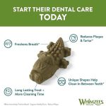 Whimzees Alligator M - Image 3