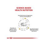 Royal Canin Urinary S/O Small Breed 1.5kg - Image 3