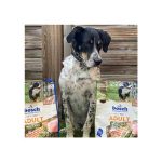 Bosch Mini Adult With Chicken 3kg - Image 4