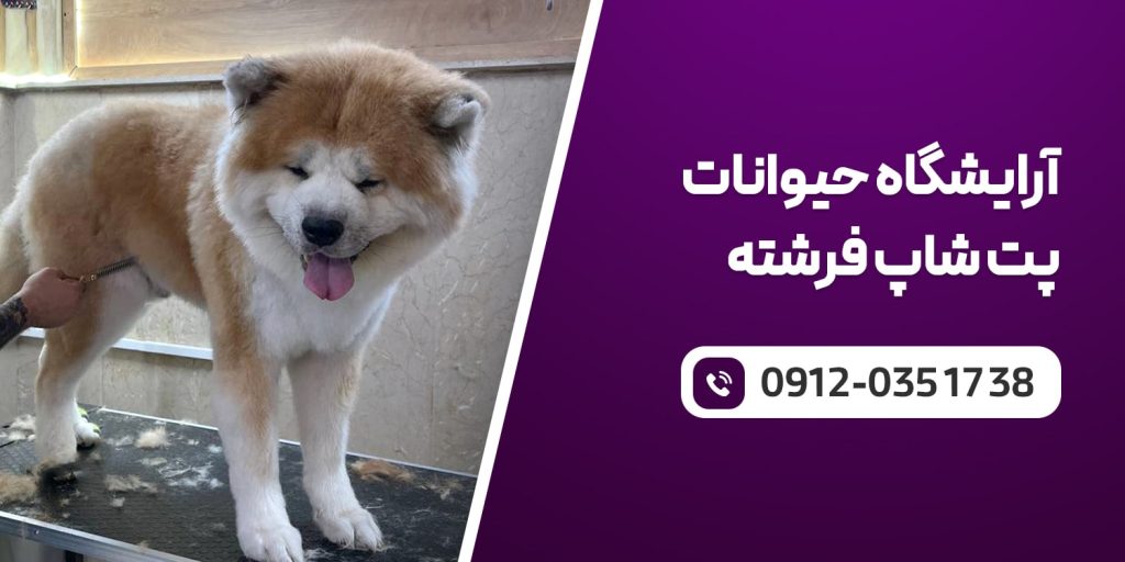 فروشگاه پت شاپ فرشته
