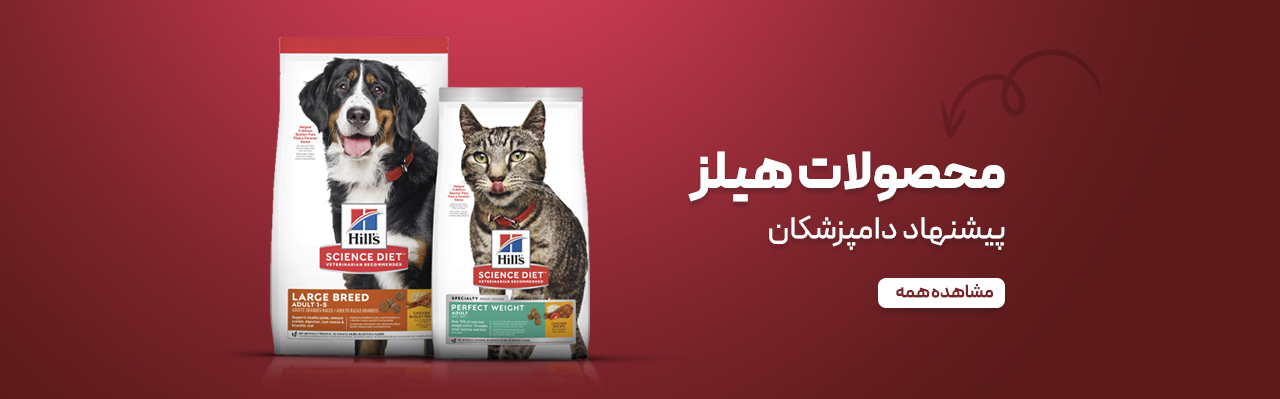 هیلز