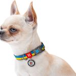 قلاده سگ Waudog Nylon مدل Colors of Freedom سایز XL - Image 2