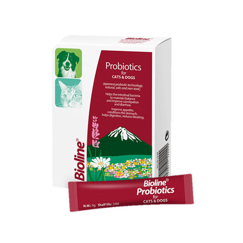 54374 پروبیوتیک 1 ساشه ای Bioline - Image 1