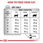 Royal Canin Skin & Coat cat 1.5kg - Image 2