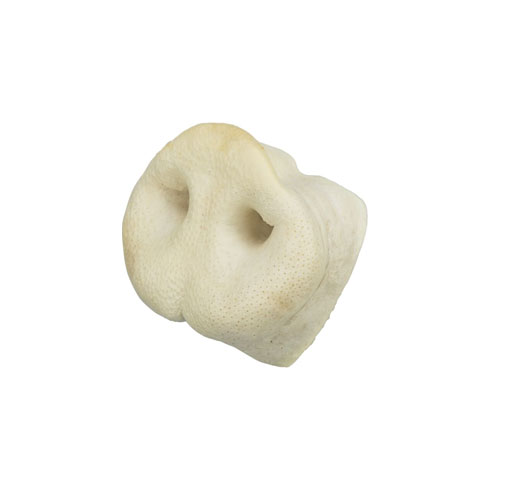 56 تشویقی Trixie Pig Nose - Image 1