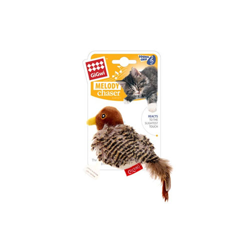 238 Gigwi melody chaser - Image 5