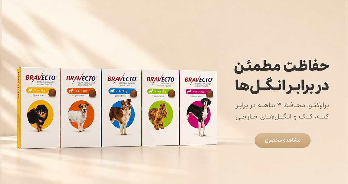 براوکتو
