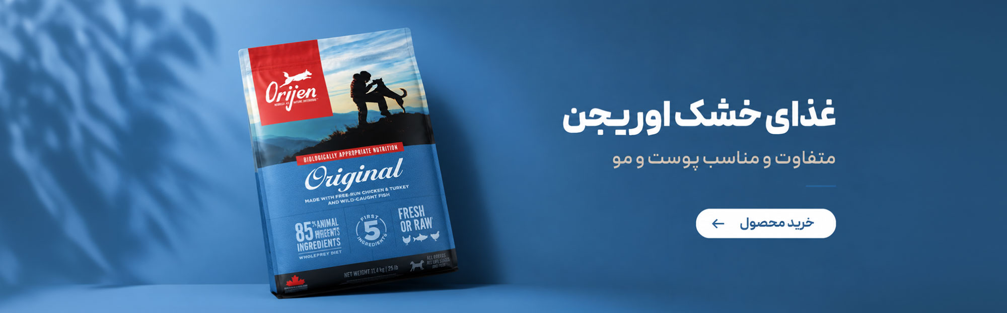 اوریجن