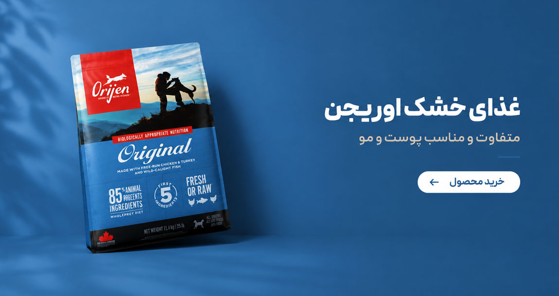 اوریجن