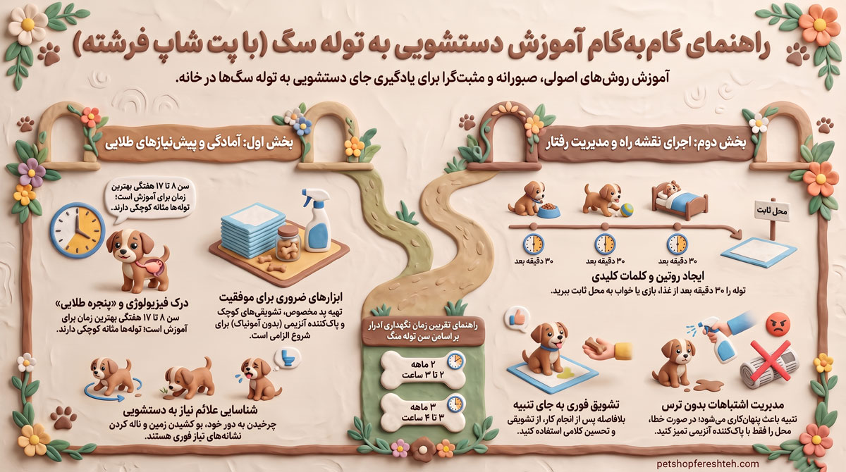 آموزش دستشویی به توله سگ؛ روش گام به گام 2 اینفوگرافی آموزش دستشویی توله سگ
