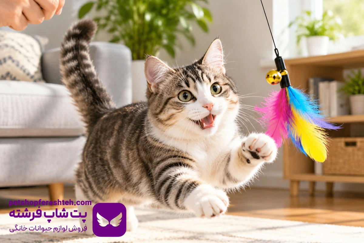 دلایل گاز گرفتن گربه