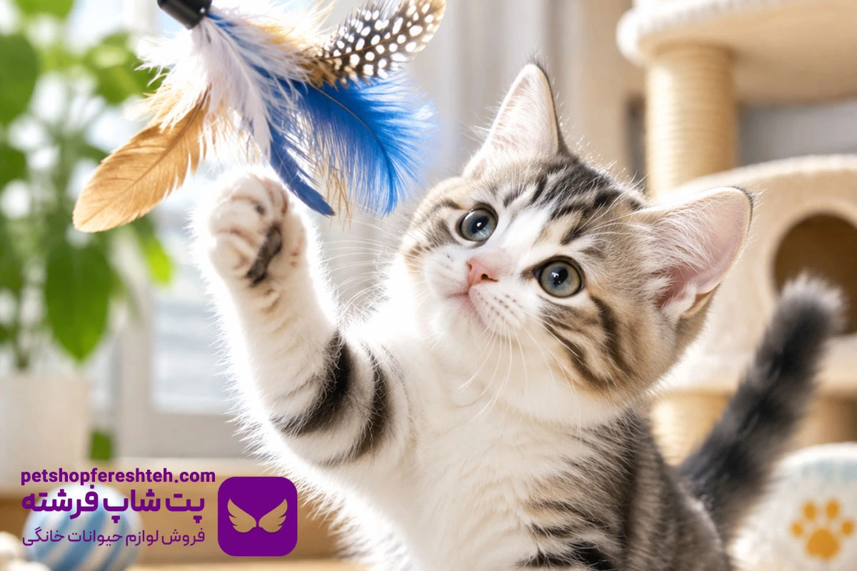گاز گرفتن گربه